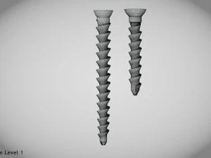 Parafuso &oacute;sseo tamanho 2 -Implante Modelo 3D