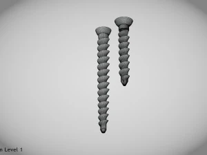 Parafuso &oacute;sseo tamanho 2 -Implante Modelo 3D