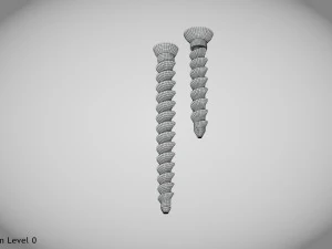 Parafuso &oacute;sseo tamanho 2 -Implante Modelo 3D