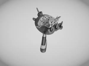 Pelvic Implant Modelo 3D