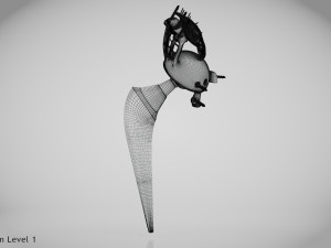 Pelvic Implant Modelo 3D