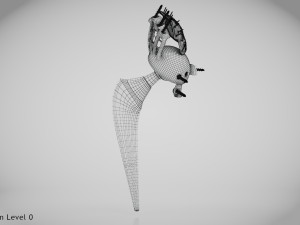 Pelvic Implant Modelo 3D