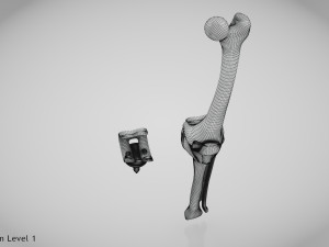 Knee Replacement Implant 3D 模型