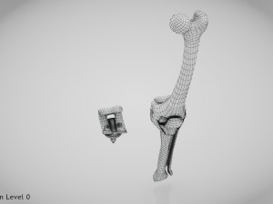 Knee Replacement Implant 3D 模型