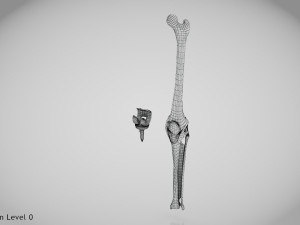 Knee Replacement Implant 3D 模型