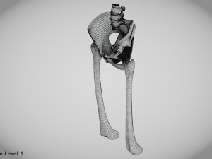 Pelvic Replacement Implant 3D Model