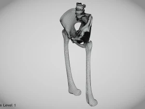 Pelvic Replacement Implant 3D Model