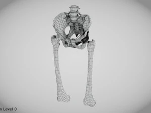 Pelvic Replacement Implant 3D Model