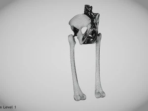 Pelvic Replacement Implant 3D Model