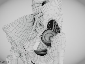 Pelvic Replacement Implant 3D Model