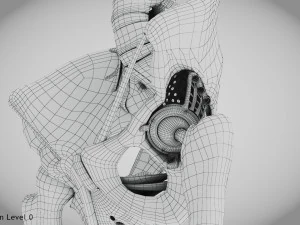 Pelvic Replacement Implant 3D Model