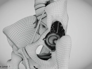 Pelvic Replacement Implant 3D Model