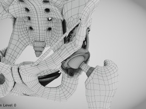 Pelvic Replacement Implant 3D Model
