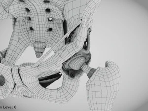 Pelvic Replacement Implant 3D Model