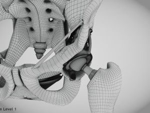 Pelvic Replacement Implant 3D Model