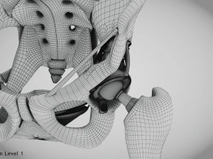 Pelvic Replacement Implant 3D Model