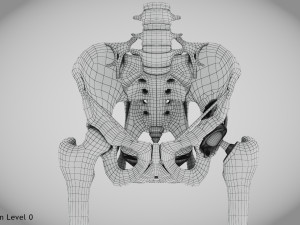 Pelvic Replacement Implant 3D Model