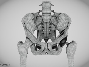 Pelvic Replacement Implant 3D Model