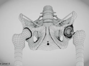 Pelvic Replacement Implant 3D Model