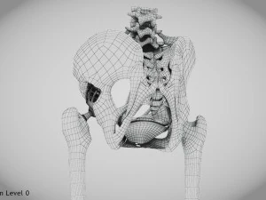 Pelvic Replacement Implant 3D Model