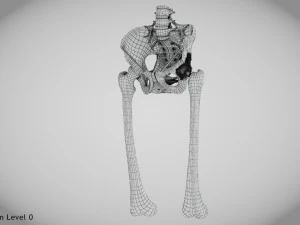 Pelvic Replacement Implant 3D Model