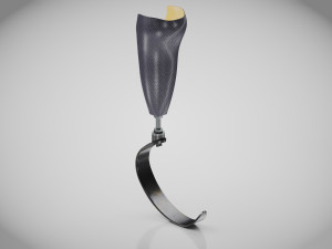 Below knee prosthetics 3 3D 모델