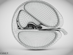 Cochlea cross section Model 3D