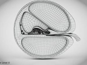 Sezione trasversale della coclea Modello 3D
