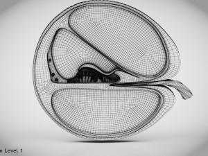 Cochlea cross section Model 3D