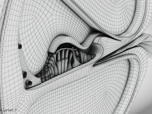 Sezione trasversale della coclea Modello 3D