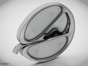Cochlea cross section Model 3D