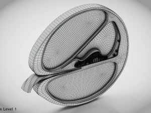 Sezione trasversale della coclea Modello 3D