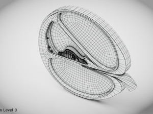 Cochlea cross section Model 3D