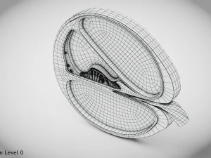 Sezione trasversale della coclea Modello 3D