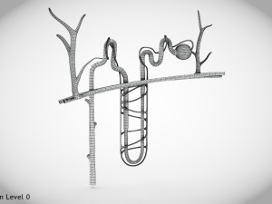 Nephron Modèle 3D