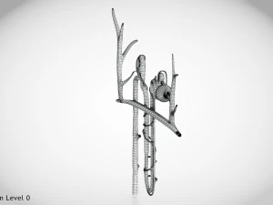 Нефрон 3D Модель