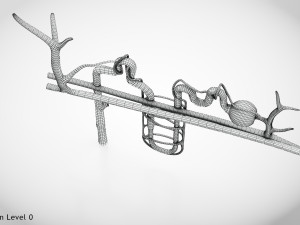 Nephron Modèle 3D