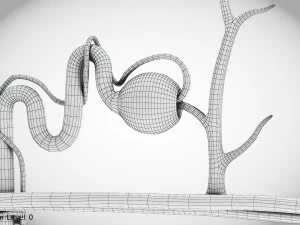 Нефрон 3D Модель