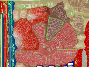 Kidney Section and Nephrons Modelo 3D