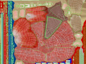Kidney Section and Nephrons 3D Model