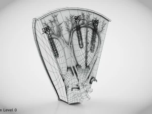 Kidney Section and Nephrons 3D Model