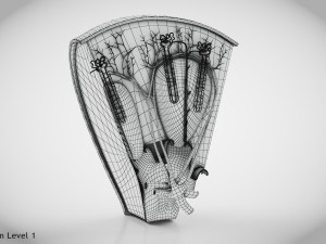 Kidney Section and Nephrons Modelo 3D