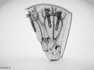 Kidney Section and Nephrons Modelo 3D