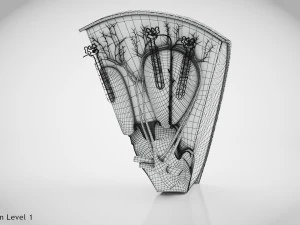 Kidney Section and Nephrons 3D Model