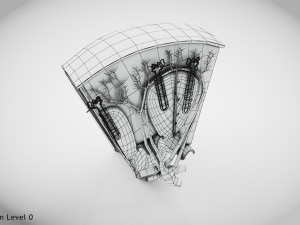 Kidney Section and Nephrons Modelo 3D