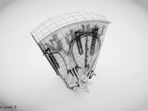 Kidney Section and Nephrons 3D Model