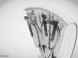 Kidney Section and Nephrons Modelo 3D