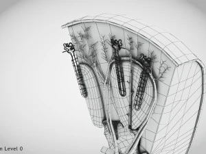 Kidney Section and Nephrons 3D Model