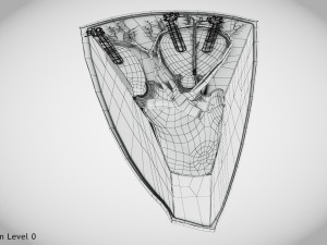 Kidney Section and Nephrons Modelo 3D