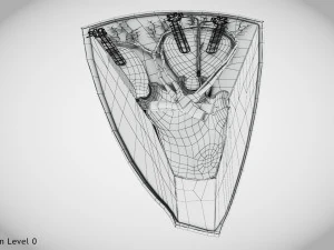 Kidney Section and Nephrons 3D Model